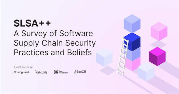 SLSA++ A survey of Software Supply Chain Security Practices and Beliefs